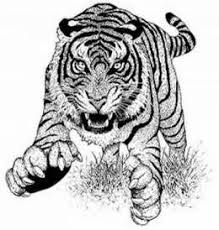 The finished products will make for fun and festive diy easter decor. 3d Animal Coloring Pages For Adults Bing Images Endangered Animals Free Coloring Pictures Animal Coloring Pages