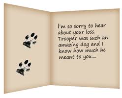 Short pet loss poems cat. Tips On Writing A Pet Loss Condolence Note Healing The Heart