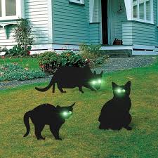 Répulsif pour chat au meilleur prix sur zoomalia ! 3pcs Repulsif Nuisibles Jardin Chat Noir Controle Peste Debarrasser Rat Repulsif Nuisibles Pour Le Jardin Achat Vente Repulsif Nuisibles Jardin 3pcs Repulsif Nuisibles Jar Cdiscount