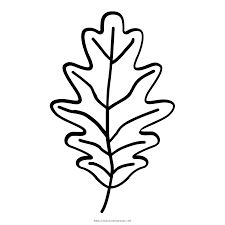 Browse leaf coloring pages resources on teachers pay teachers, a marketplace trusted by. Oak Leaf Coloring Page Ultra Coloring Pages