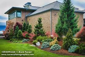 Wonder What Kind Of Conifers These Are They Must Truly Stay Narrow As They Grow Consider Front Yard Landscaping Conifers Garden Front Yard Landscaping Design