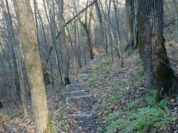 Missed by the last set of glaciers that came through minnesota, beaver creek valley state park lies in the driftless region of the state. Steps On The Trail At Beaver Creek Valley State Park Minnesota Free Stock Photos In Jpg Format For Free Download 1 34mb