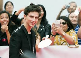 timothee chalamet continues fest success this time for