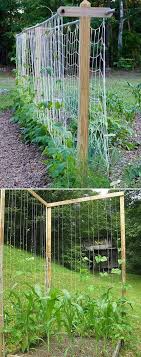 We did not find results for: 19 Successful Ways To Building Diy Trellis For Veggies And Fruits Homedesigninspired