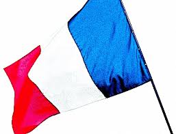 Clarisse agbegnenou porte le drapeau! Teddy Riner Porte Drapeau Francais A Rio L Olympisme Inattendu