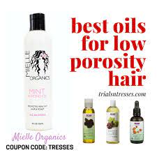 Best Oils For Low Porosity Hair Millennial In Debt Hair Porosity Low Porosity Hair Products Natural Hair Styles