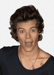 Harry Styles One Direction This Is Us Hairstyle One Direction Love Black Hair Pin Png Pngwing Free png images, clipart, graphics, textures, backgrounds, photos and psd files. black hair pin png