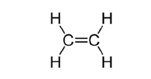 Biomedical Journal Of Scientific Technical Research Impact Factor Enhancement Of Shelf Life Of The Climacteric Fruits A Review On Application Of Crispri Technology By Surajit Pathak Scientific Agricultural Science Biomedical