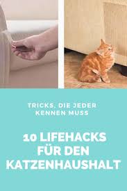 Life Hacks Fur Katzen 10 Tricks Die Jeder Katzenhaushalt Kennen Muss Katzen Katzen Hacks Katzen Infos