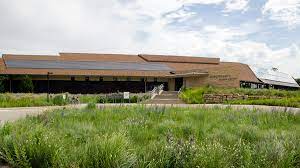It may be planted alone or with a mixture of wildflowers. Gardening With Native Plants Short Native Grasses And Forbs For Small Gardens Uw Arboretum