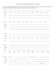 Maybe you would like to learn more about one of these? Transcription And Translation Practice Worksheet 1 Transcription And Translation Dna Transcription And Translation Dna Transcription