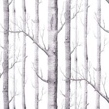 Black And White Birch Tree Wallpaper Birch Tree Wallpaper Jpg Birch Tree Wallpaper Silver Tree Wallpaper Birches Wallpaper