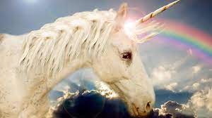 Is a unicorn male or female? Bbc Learning English 6 Minute English Unicorns
