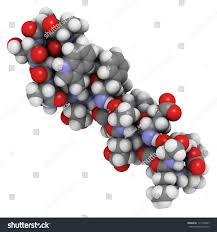 Image result for Exenatide