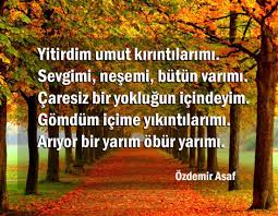 ozdemir asaf sozleri siir ozlu sozler guzel soz