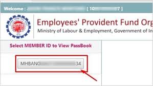 Check Epf Balance In 4 Different Ways At Personalfn Chcek Current Epf Balance Growth Rate In Epf Employee Provident Fund Pe Financial Planner Employee Fund