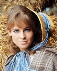 Julie Christie Far From The Madding Crowd By Hay Bales In Barn Poster And Photo 292073 Julie Christie Actresses Madding Crowd