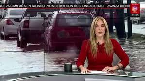 MSN - News update