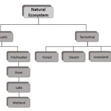 Flow Chart Of Aquatic Ecosystem Water Ecology Faq 44