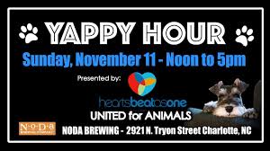 If you would like to meet a particular animal, please contact us so that we can arrange for the foster to bring the animal to the event. Yappy Hour Animal Rescue Event Noda Brewing Company