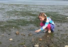 8 Tide Pooling Spots To Explore Now In Seattle