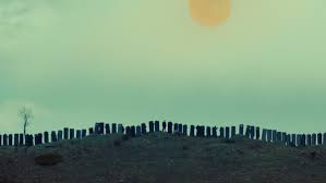 85 wynonna earp hd wallpapers und hintergrundbilder. Wynonna Earp On Twitter Quietly Saves As Wallpaper Wynonnaearp