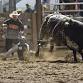 Deadwood PBR