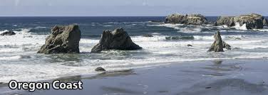 November 18 Dogs for the Deaf/Harry and David