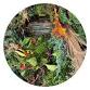 Prairie Craft Collective: Native Plant Wreath event image