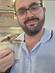 A lovely story from Mr Strachan to end off the school week.🧑‍🔬 'I rescued  this Kookaburra in distress yesterday afternoon and took him to the local  vet for a medical assessment and