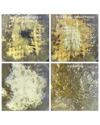 Back in the studio after a much-needed summer break! Starting 2025 fresh  with the surface cleaning of this delightful Elmer Needham painting  depicting some people enjoying the outdoors. Makes us miss those