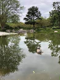 Japanese Garden Houston Tx Japanese Garden Outdoor Garden