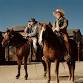 November Open Horse Show event image