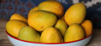 How to cut a mango all that juicy goodness. Mango Have A Plant