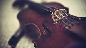 Violin Violin Music Violin Music Instruments