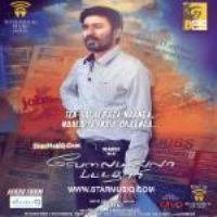 Vip Velaiyilla Pattathari 2014 Tamil Mp3 Songs Free Download Masstamilan Isaimini Kuttyweb