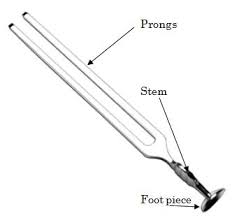 Image result for Tuning Fork Test