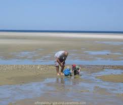 Tide Pools More