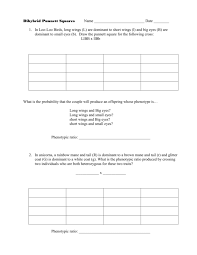 The genotype is the actual genetic makeup of an organism, usually written in alleles. Dihybrid Punnett Squares Practice Problems