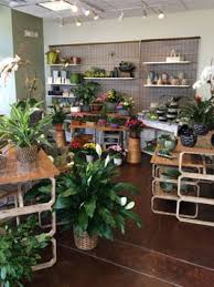 Maybe you would like to learn more about one of these? Inside In Bloom Flower Shop Photos In Bloom Flowers In Plano Arlington Carrollton Mckinney Lewisville Dallas