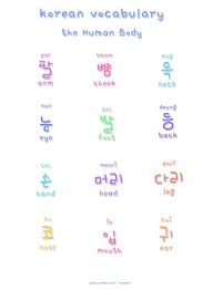 Anda akan kesulitan untuk mengungkapkan sesuatu, jika tidak hafal kosakata tersebut. Bahasa Korea Bahasa Belajar