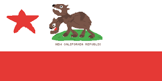 60k+ user, 35k+ order (delhi only) partner with us : Pixilart Fnv Ncr Flag 1 By Evilcreeper123