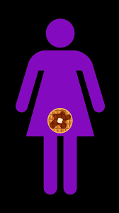 Pin On What Are They Called Again Bobbi