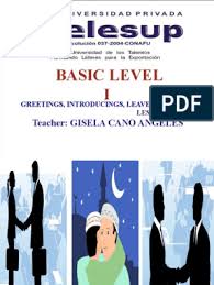 Basic Level I: Teacher: Gisela Cano Angeles