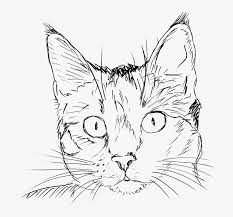 Black and white cat drawing. Cat Kitten Drawing Black And White Portrait Feline Cat Face Clipart Black And White Hd Png Download Kindpng