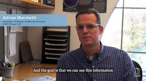 Researchers use genes as early warning system for harmful algae blooms