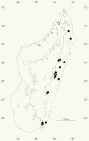 Geographic distribution of Beguea ankeranensis G.E. Schatz & Lowry... |  Download Scientific Diagram