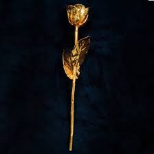 Maybe you would like to learn more about one of these? 24k Gold Rose Find Me A Gift