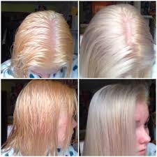 Yes, hair always looks darker when it's wet, but i had been blonde for long enough that i knew what i should be seeing, and with even the slightest touch, chunks of bleached hair began to fall. I Bleached My Hair From Blonde To This Pale Orange Color And Then Mixed Wella T18 Toner And 20 V Blonde Hair With Roots Orange Roots Blonde Hair Bleached Hair