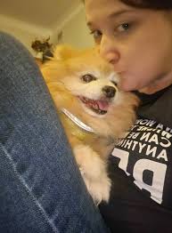 Dog finds new home after owner's passing in buckinghamshire uk